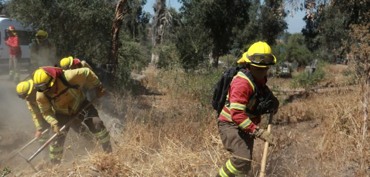Onemi reporta 15 incendios entre regiones de Coquimbo y Maule: uno ha consumido 2.500 hectáreas