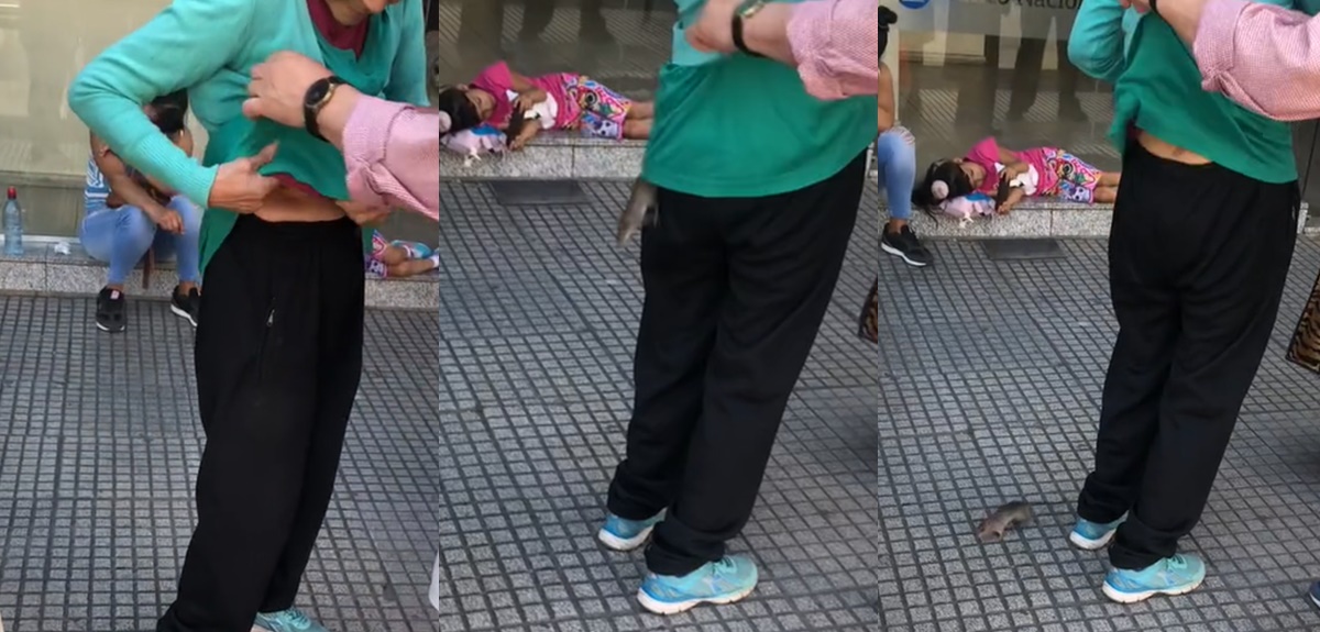 Insólito: una mujer hacía fila para ingresar al banco y descubrió a una rata en su cuerpo