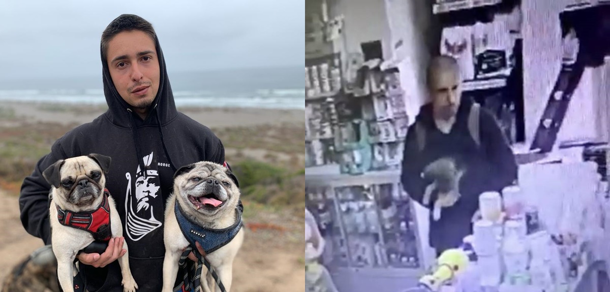 La otra noticia alegre tras hallazgo de joven de Peñalolén: adoptó un perro en su desaparición