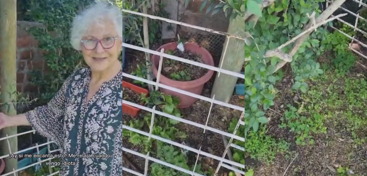 Teresita Reyes llamó la atención al mostrar su patio y realizar un recorrido por su huerta.