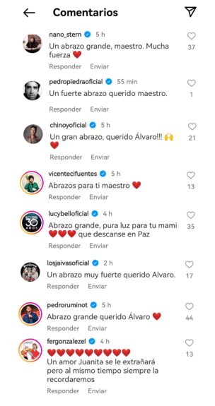 comentarios apoyo Álvaro Henríquez muerte madre