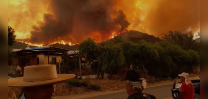 Los impactantes registros que deja incendio forestal en Quilpué.