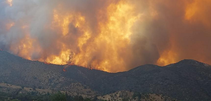 Onemi entregó balance tras serie de incendios forestales en Chile