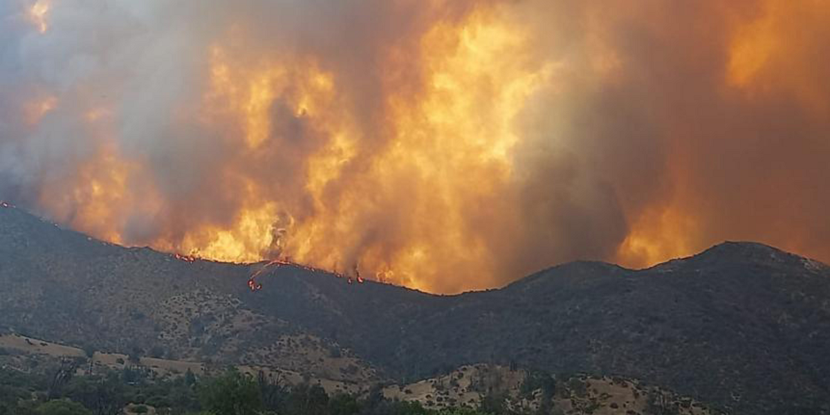 Onemi entregó balance tras serie de incendios forestales en Chile