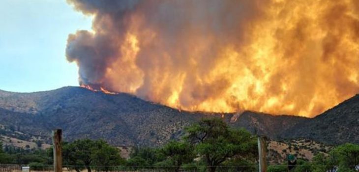 Voluntario que combatía incendio forestal de Colliguay en Quilpué muere calcinado