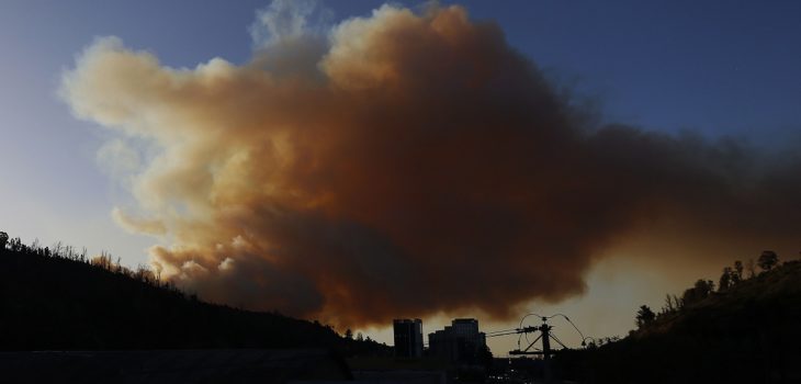 Onemi emite alerta ante incendio forestal en Viña del Mar: solicitó evacuación de algunos sectores