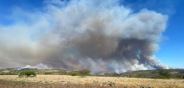 Onemi mantiene Alerta Roja por incendios forestales