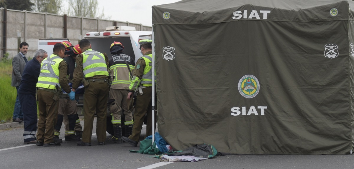 Niña de 4 años murió en violento choque en Maullín: conductor se habría quedado dormido