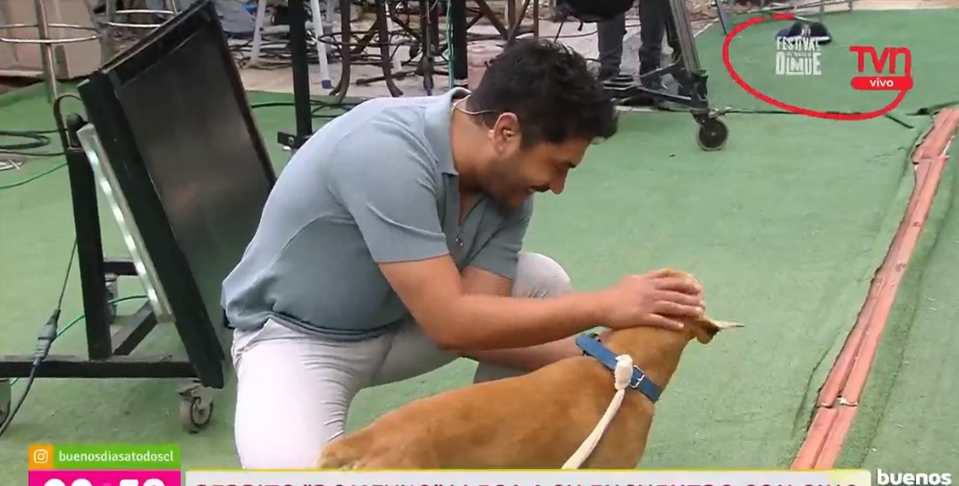 Gino Costa adoptó perrito matinal