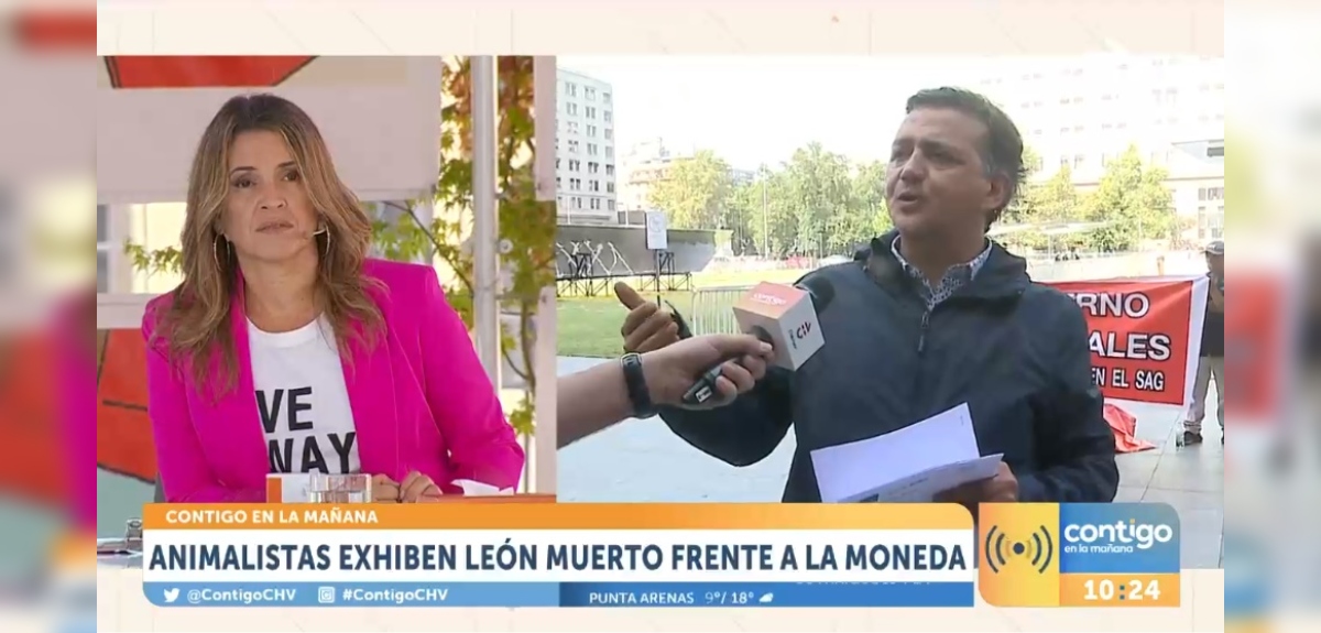 Protestan con un cadáver de león frente a La Moneda zoológico acusa al