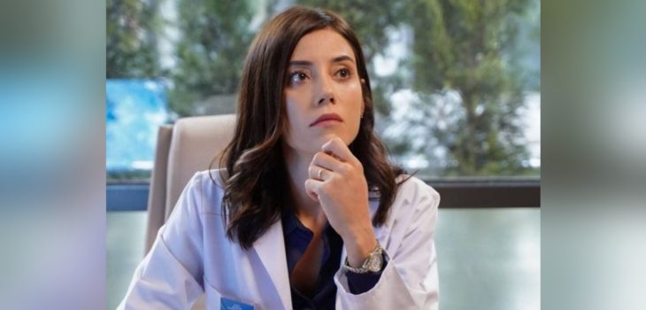 Cansu Dere desaparición