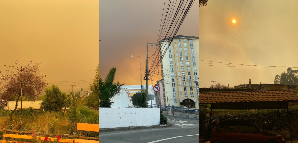 Incendios forestales en Tomé: los desoladores registros de la comuna durante la emergencia