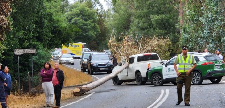 muere exdirector de Conaf Araucanía: árbol cayó sobre su auto