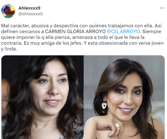Tuitero disparó contra Carmen Gloria Arroyo