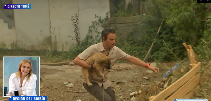 Gonzalo Ramírez tuvo noble gesto con cachorro abandonado en Tomé