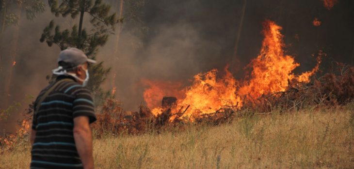 Máquina agrícola en mal estado provocó incendio forestal en Panguipulli