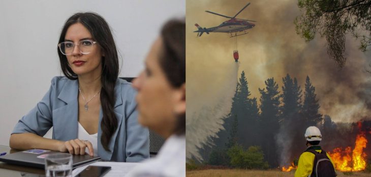 Gobierna estima que incendios forestales podrían ser extinguidos en su totalidad en marzo