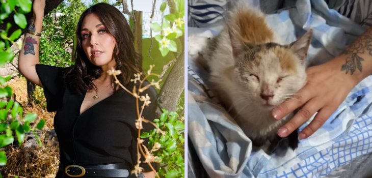 Denisse Malebran denuncia maltrato de gatos