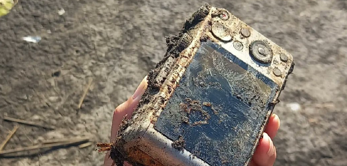 Joven halló cámara que estuvo sumergida 6 años en esteros de Argentina: estas fotos encontró