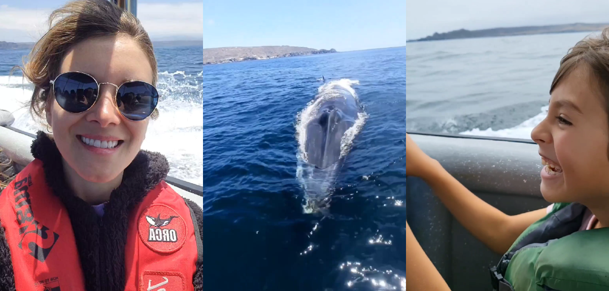 Carla Jara y el especial viaje junto a su hijo.