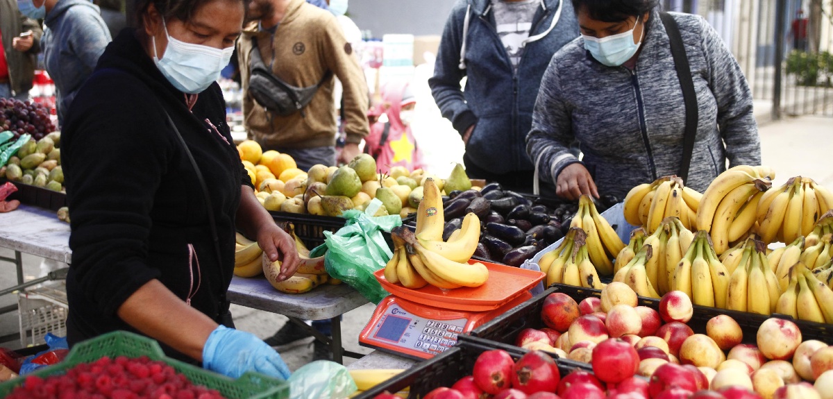 De manzanas a porotos: Gobierno detalló los alimentos de temporada que ahora están más baratos