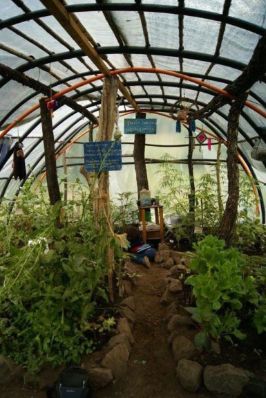 Comunidad Arcoiris cajon del maipo lactante