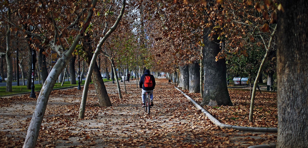 ¿Cuándo empieza el otoño en Chile? Revisa la fecha de llegada de la estación