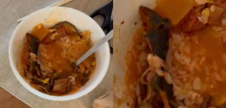 Pareja encontró rata muerta tras pedir comida a restorán de Nueva York: desagradable postal es viral