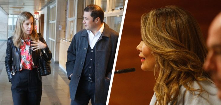 abogada Cathy Barriga declaracion Bolocco Neme Saa