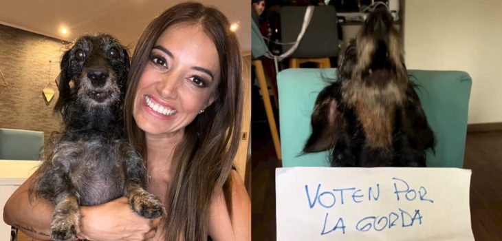 Yamila Reyna sacó risas con video de su perrito: llamó a votar por ella para que gane Copihue de Oro