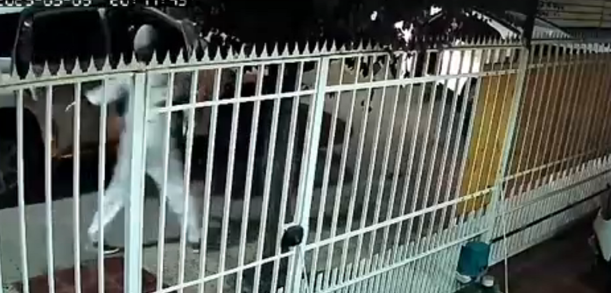 Carabinero frustró a balazos portonazo en Quilicura: delincuentes se enfrentaron a él