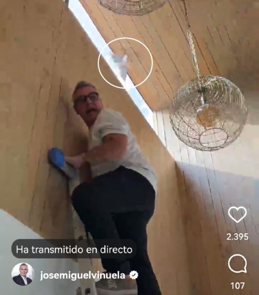 José Miguel Viñuela chascarro pájaro casa