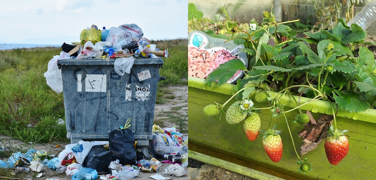 Día Mundial del Reciclaje: tips para reutilizar alimentos y así evitar desecharlos