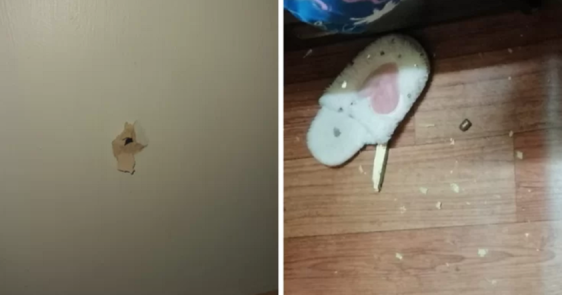 Brutal doble homicidio en Concepción: hallan cuerpos al interior de vehículo cerca del centro