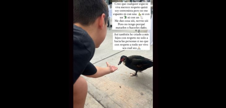 hijos Maura animales