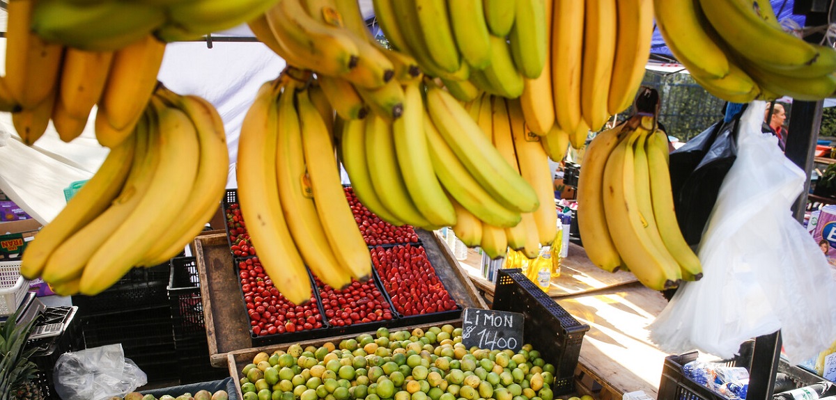 Canasta Básica: los alimentos que más bajaron de precio y los que subieron