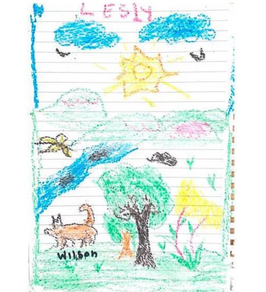 dibujo perro Wilson perdido selva Colombia