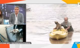 imágenes rescate de animales en Talagante