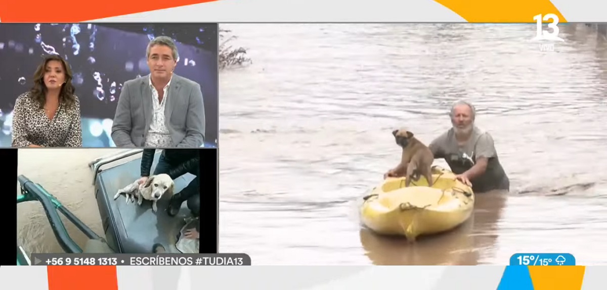 imágenes rescate de animales en Talagante