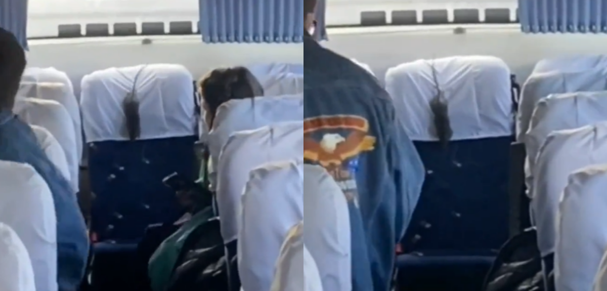 Ratones en Colegio Saint John’s.