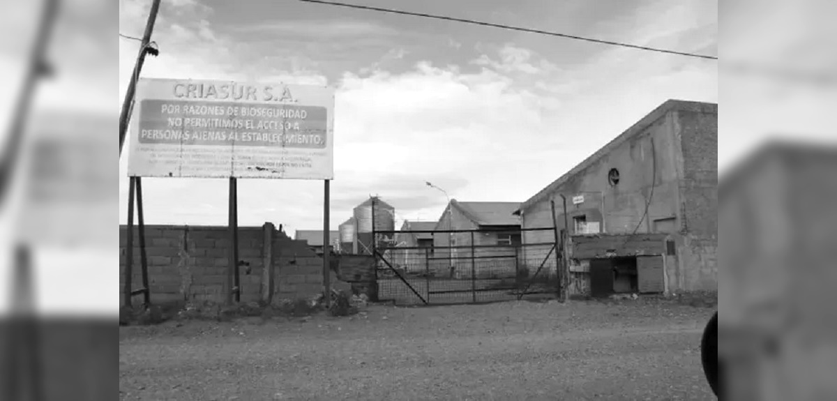 Rescatan a chileno sometido a régimen de esclavitud en Argentina: desapareció hace 20 años