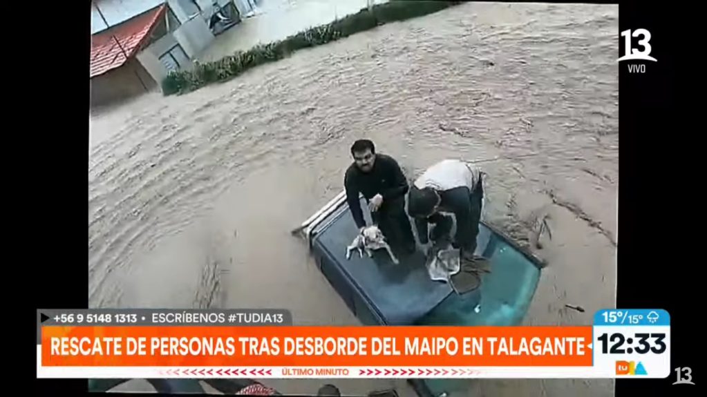 rescate animales en Talagante
