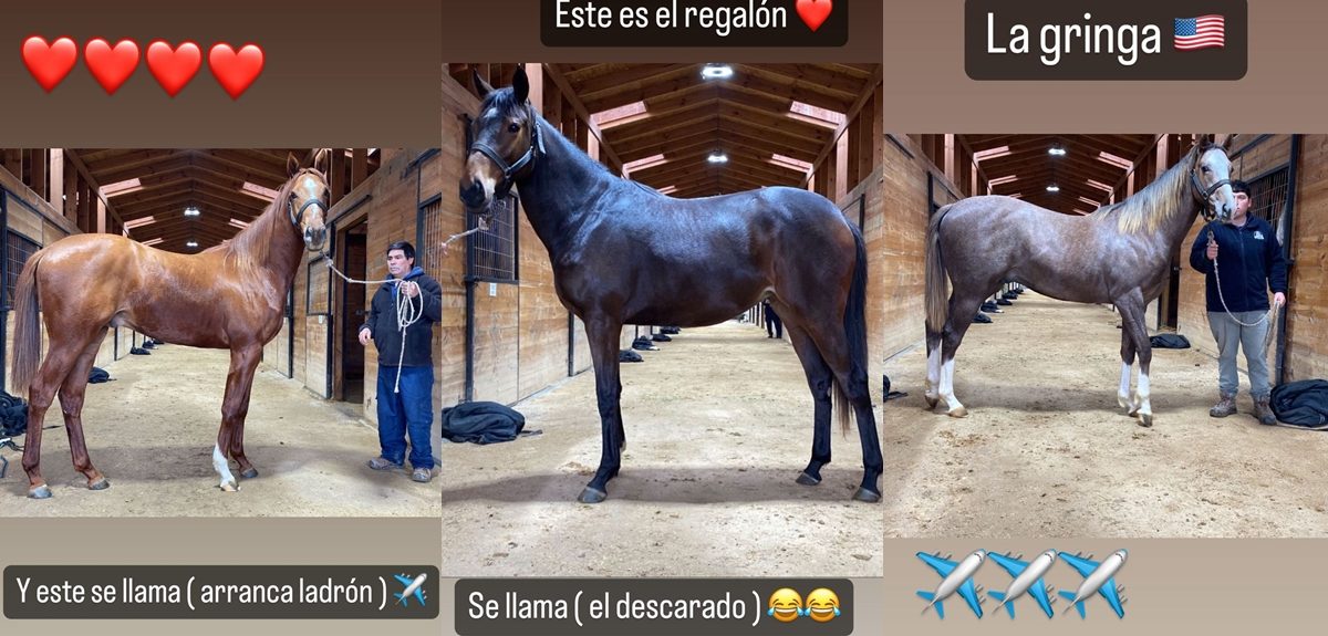 Arturo Vidal 'respondió' a Mauricio Israel 'rebautizando' a sus caballos: "Arranca ladrón"