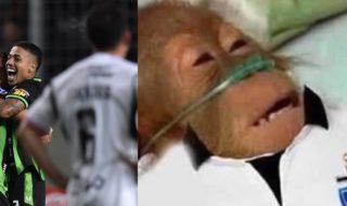 Memes eliminación Colo Colo Copa Sudamericana