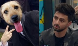 memes y reacciones por eliminación de Bambino Gran Hermano