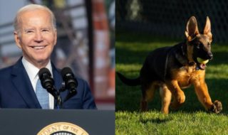 Commander, perro de Joe Biden