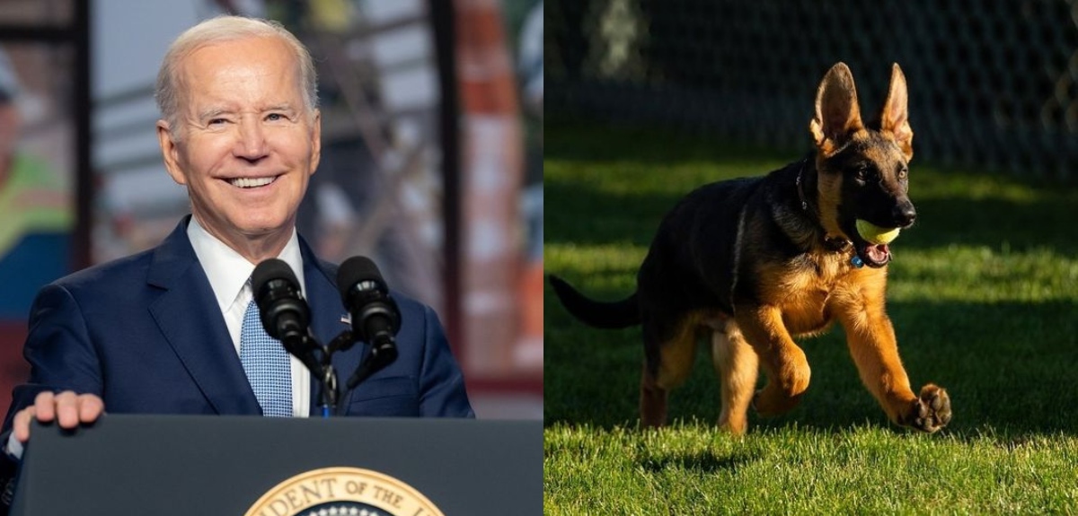 Commander, perro de Joe Biden
