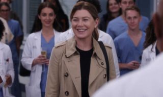 6 actores históricos Greys Anatomy temporada 20