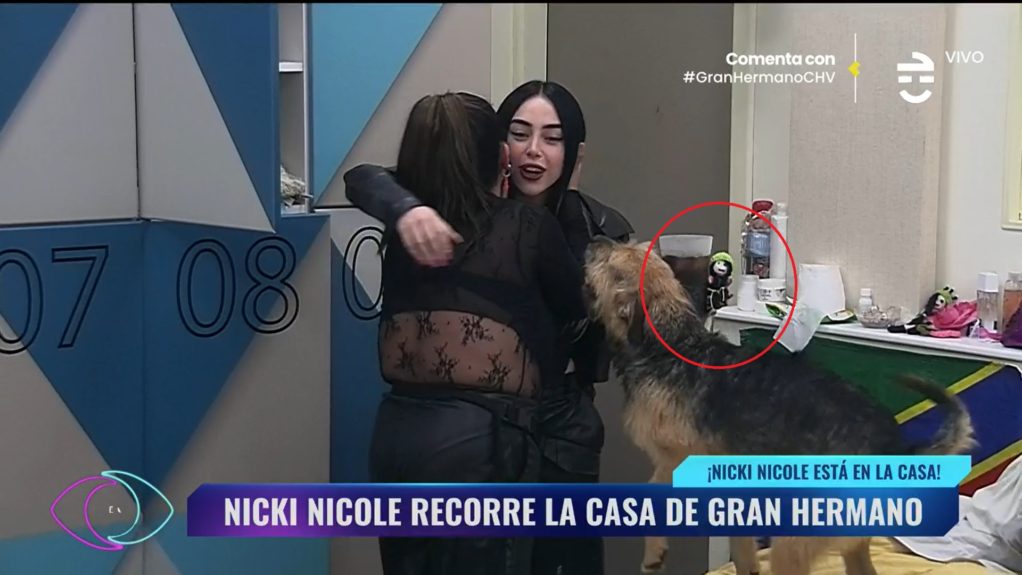 Regalo de Pincoya a Nicki Nicole