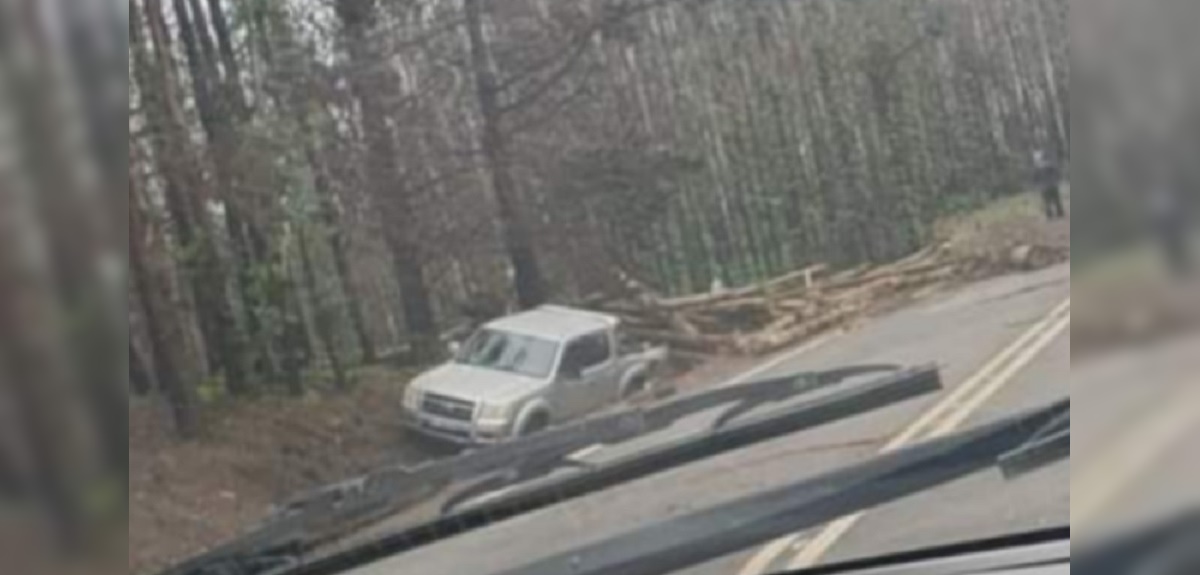 Accidente fatal camión maderero ruta Patagual